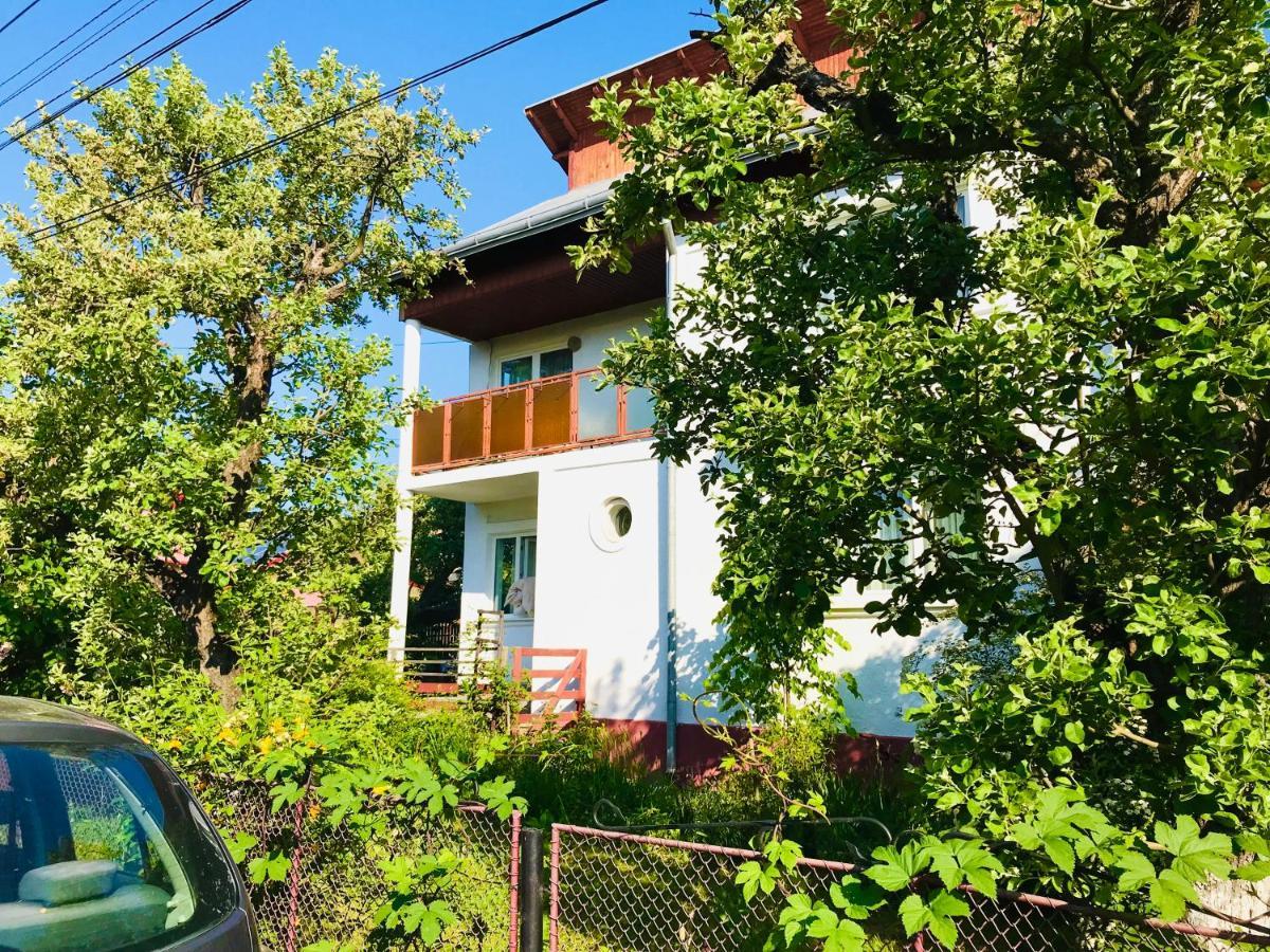Apartament Vica Gura Humorului Zewnętrze zdjęcie