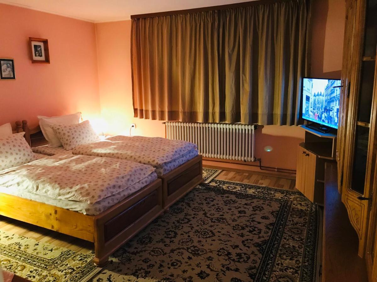 Apartament Vica Gura Humorului Zewnętrze zdjęcie