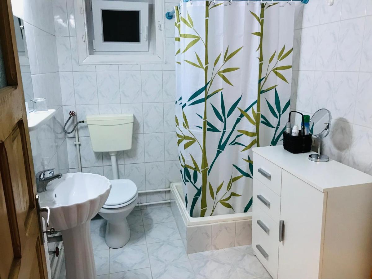 Apartament Vica Gura Humorului Zewnętrze zdjęcie