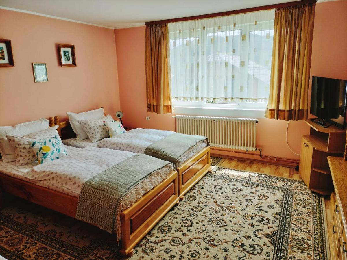 Apartament Vica Gura Humorului Zewnętrze zdjęcie