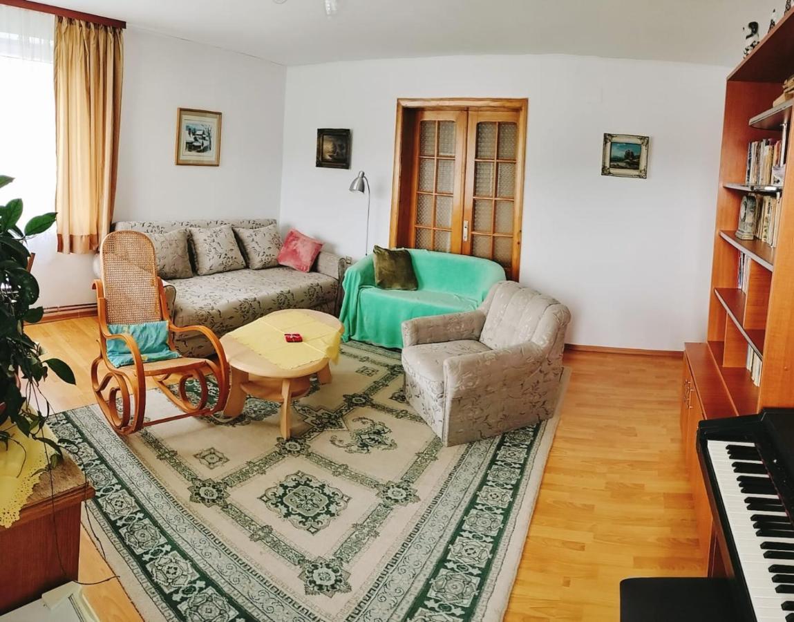 Apartament Vica Gura Humorului Zewnętrze zdjęcie