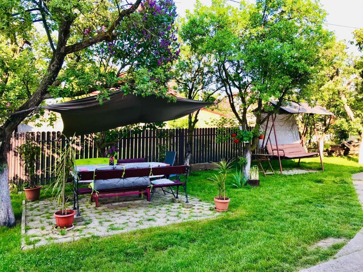 Apartament Vica Gura Humorului Zewnętrze zdjęcie