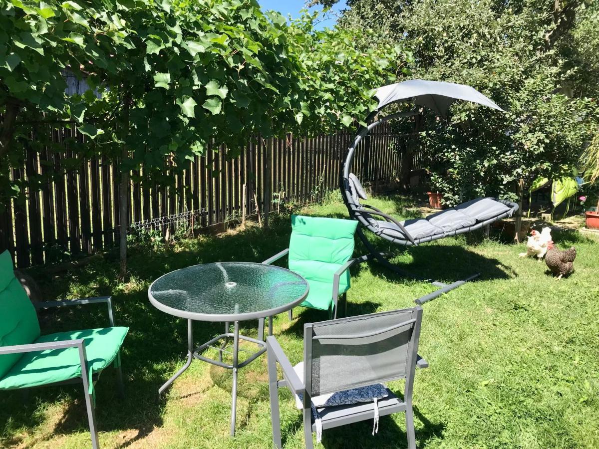 Apartament Vica Gura Humorului Zewnętrze zdjęcie